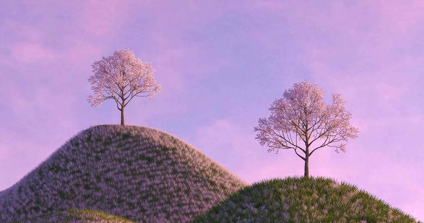 The Art of Meditation for Modern Life